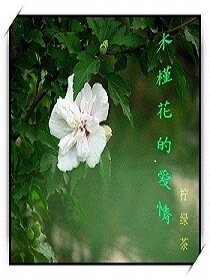 木槿花的哎情