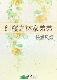 紅樓之林家弟弟