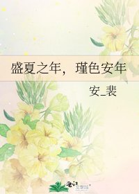 盛夏之年,瑾色安年