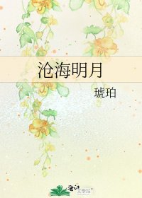 沧海明月