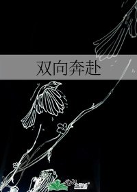 双向奔赴