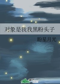 对象是我我黑粉头子