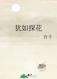猶如探花