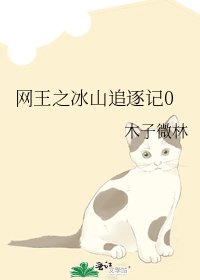 网王之冰山追逐记0
