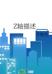 Z軸描述