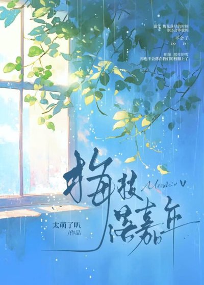 梅枝落嘉年