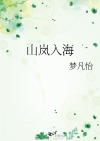 山嵐入海