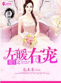 重生之左暖右爱/重生之左暖右宠