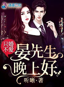只婚不爱:晏先生,晚上好文